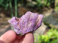 Natural Cobbed Stichtite Specimens x 1 Lot From Barberton, South Africa