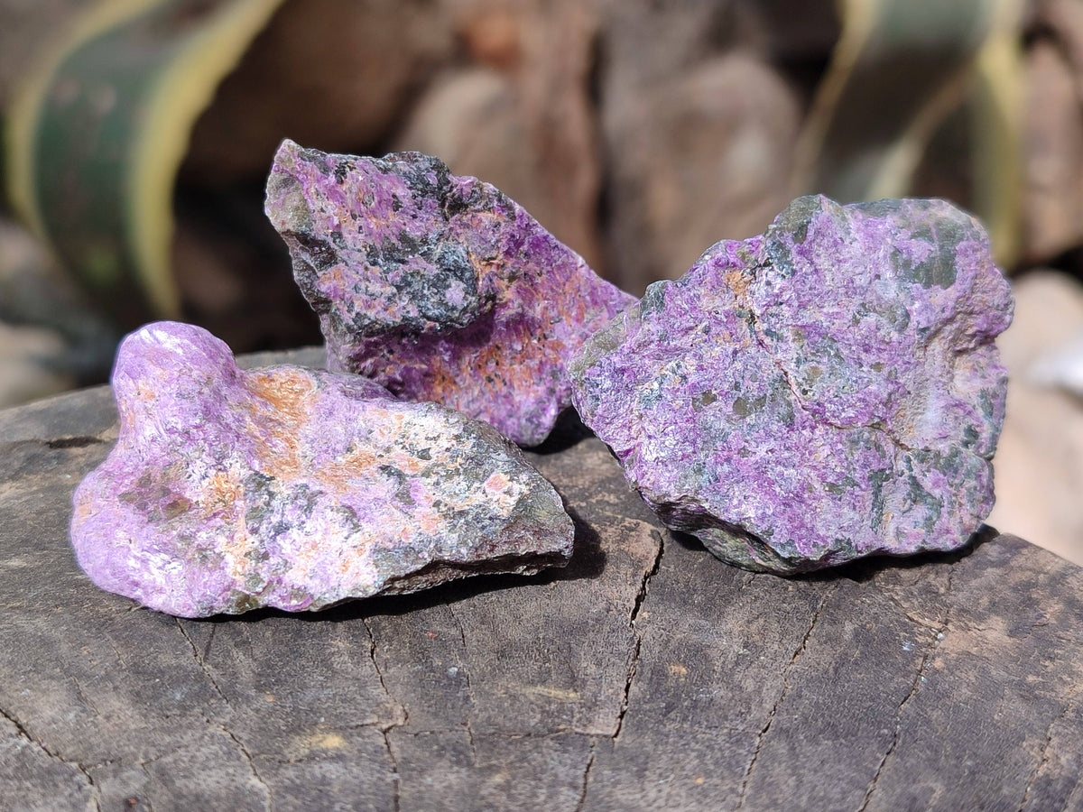 Natural Cobbed Stichtite Specimens x 1 Lot From Barberton, South Africa - Toprock Gemstones and Minerals 