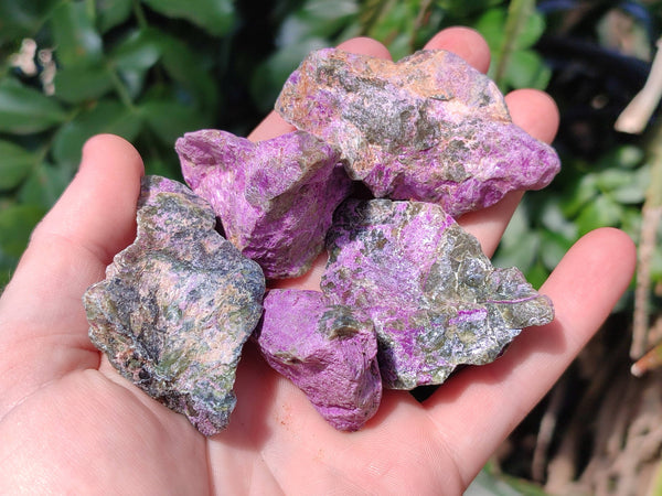 Natural Cobbed Stichtite Specimens x 1 Lot From Barberton, South Africa