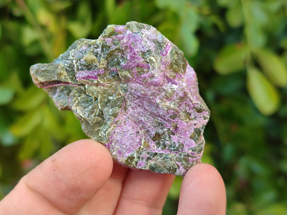 Natural Cobbed Stichtite Specimens x 1 Lot From Barberton, South Africa - Toprock Gemstones and Minerals 