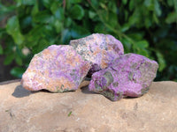 Natural Cobbed Stichtite Specimens x 1 Lot From Barberton, South Africa