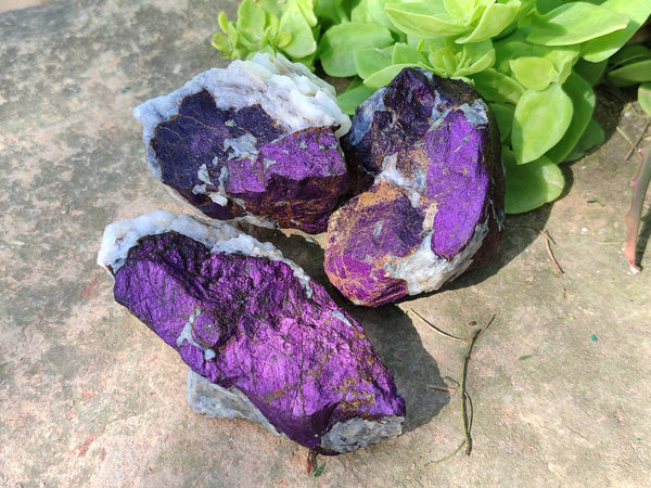 Natural Metallic Purpurite Specimens x 12 From Erongo, Namibia