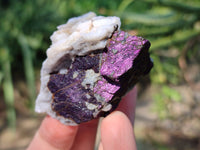 Natural Metallic Purpurite Specimens x 12 From Erongo, Namibia