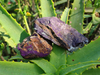 Natural Metallic Purpurite Specimens x 12 From Erongo, Namibia