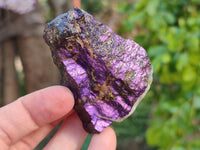 Natural Metallic Purpurite Specimens x 12 From Erongo, Namibia