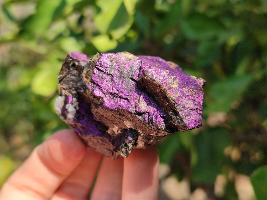Natural Metallic Purpurite Specimens x 12 From Erongo, Namibia - Toprock Gemstones and Minerals 