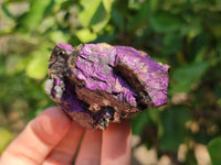 Natural Metallic Purpurite Specimens x 12 From Erongo, Namibia