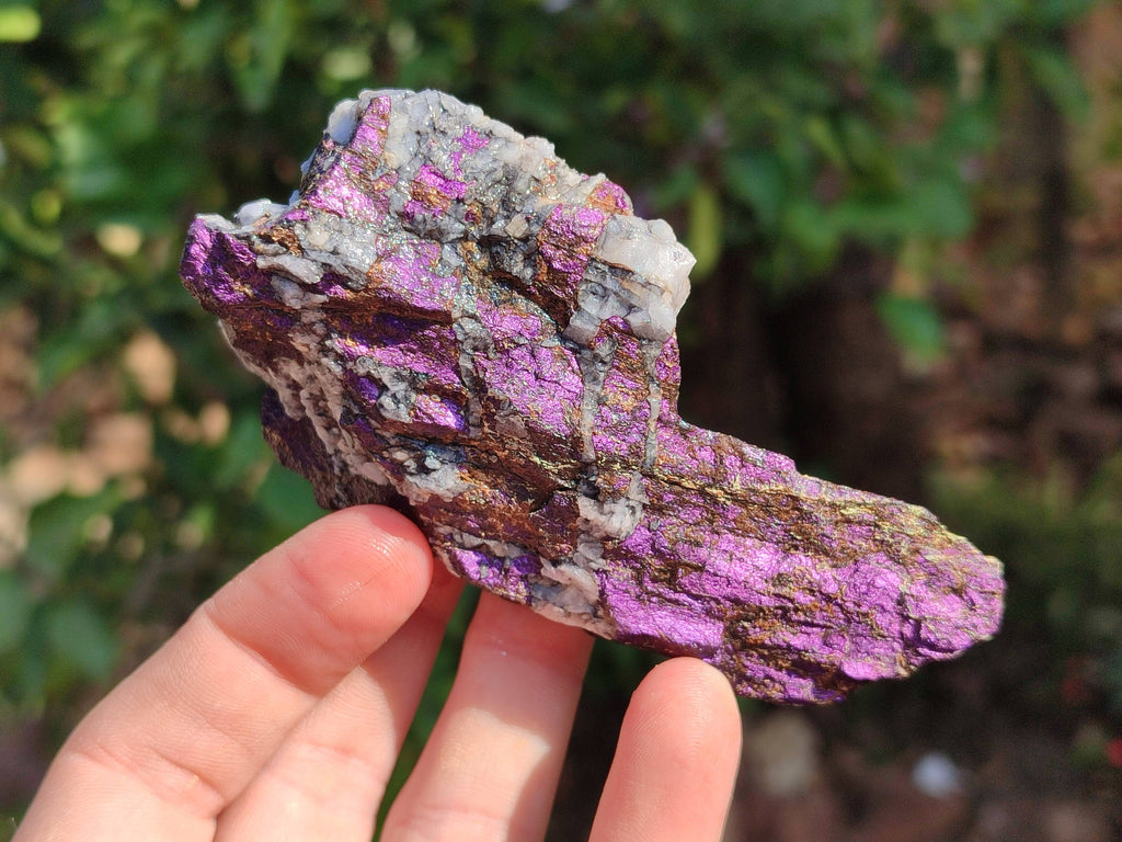 Natural Metallic Purpurite Specimens x 12 From Erongo, Namibia - Toprock Gemstones and Minerals 
