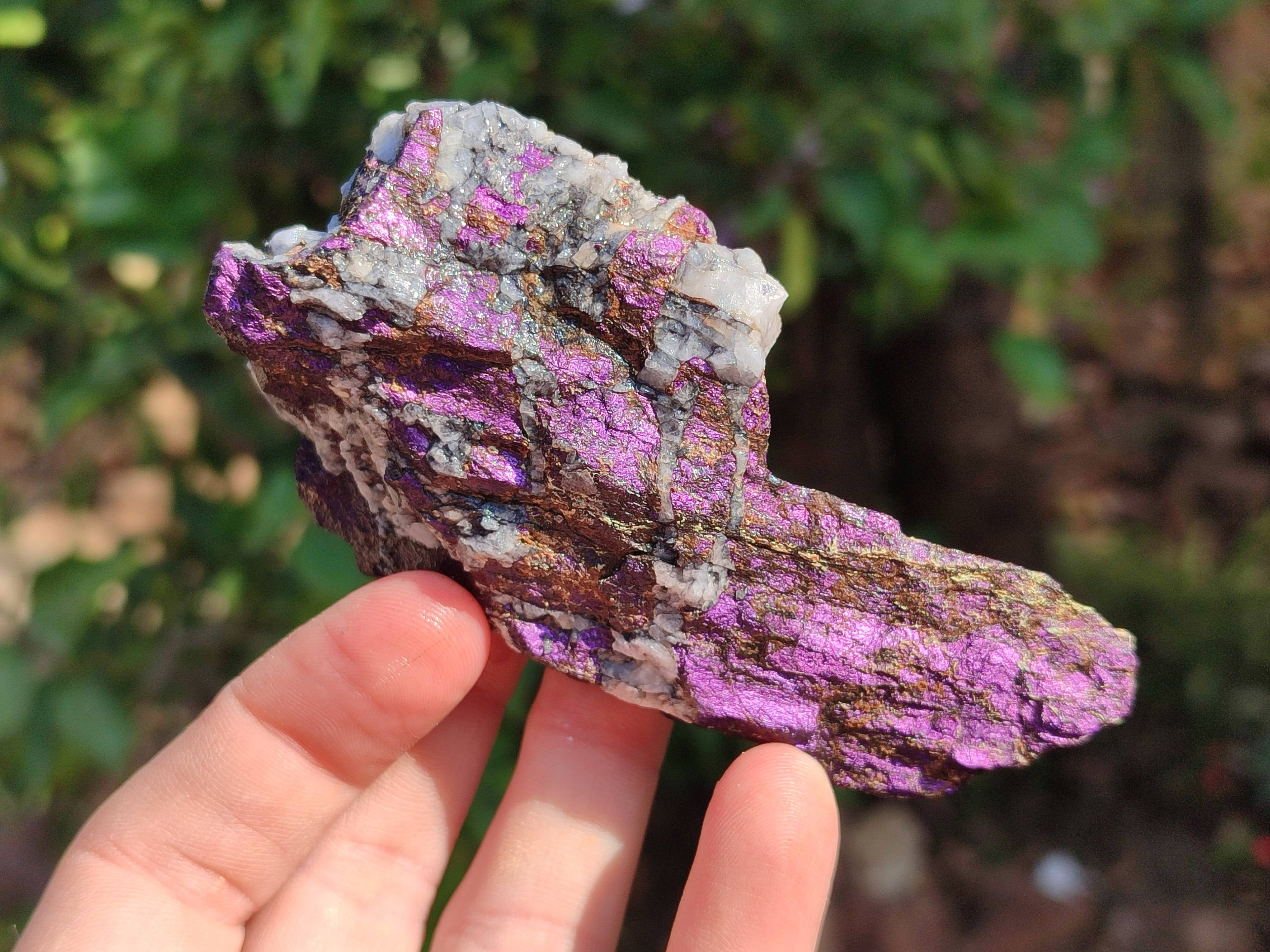 Natural Metallic Purpurite Specimens x 12 From Erongo, Namibia - Toprock Gemstones and Minerals 