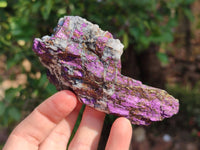 Natural Metallic Purpurite Specimens x 12 From Erongo, Namibia
