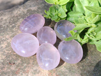 Gemmy Polished Rose Quartz Palm Stones x 35 From Madagascar