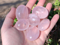 Gemmy Polished Rose Quartz Palm Stones x 35 From Madagascar
