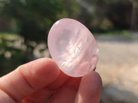 Gemmy Polished Rose Quartz Palm Stones x 35 From Madagascar