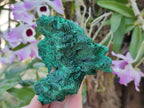 Natural Silky Malachite Specimens x 3 From Kasompe, Congo - Toprock Gemstones and Minerals 