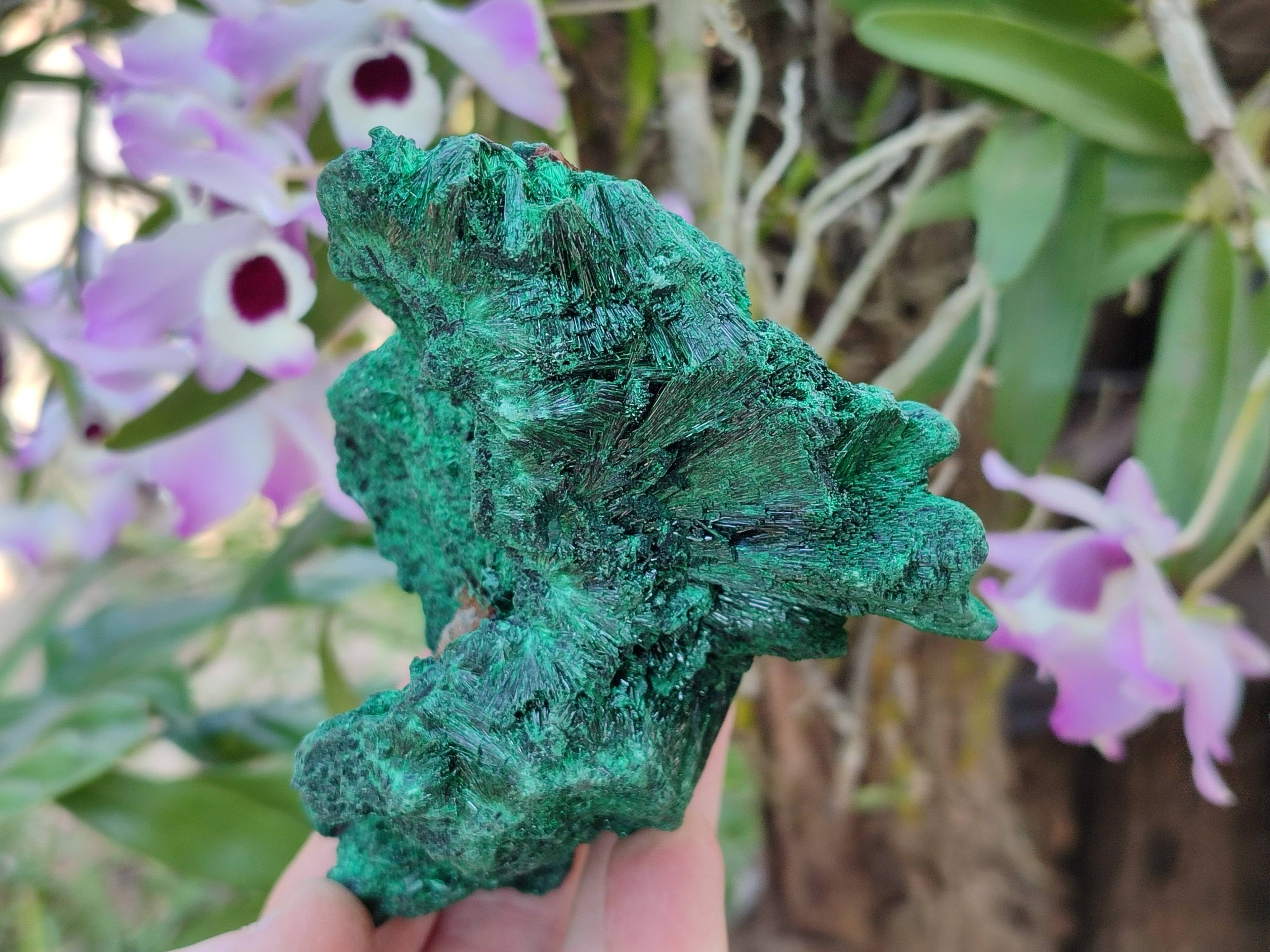 Natural Silky Malachite Specimens x 3 From Kasompe, Congo - Toprock Gemstones and Minerals 