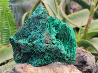 Natural Silky Malachite Specimens x 3 From Kasompe, Congo