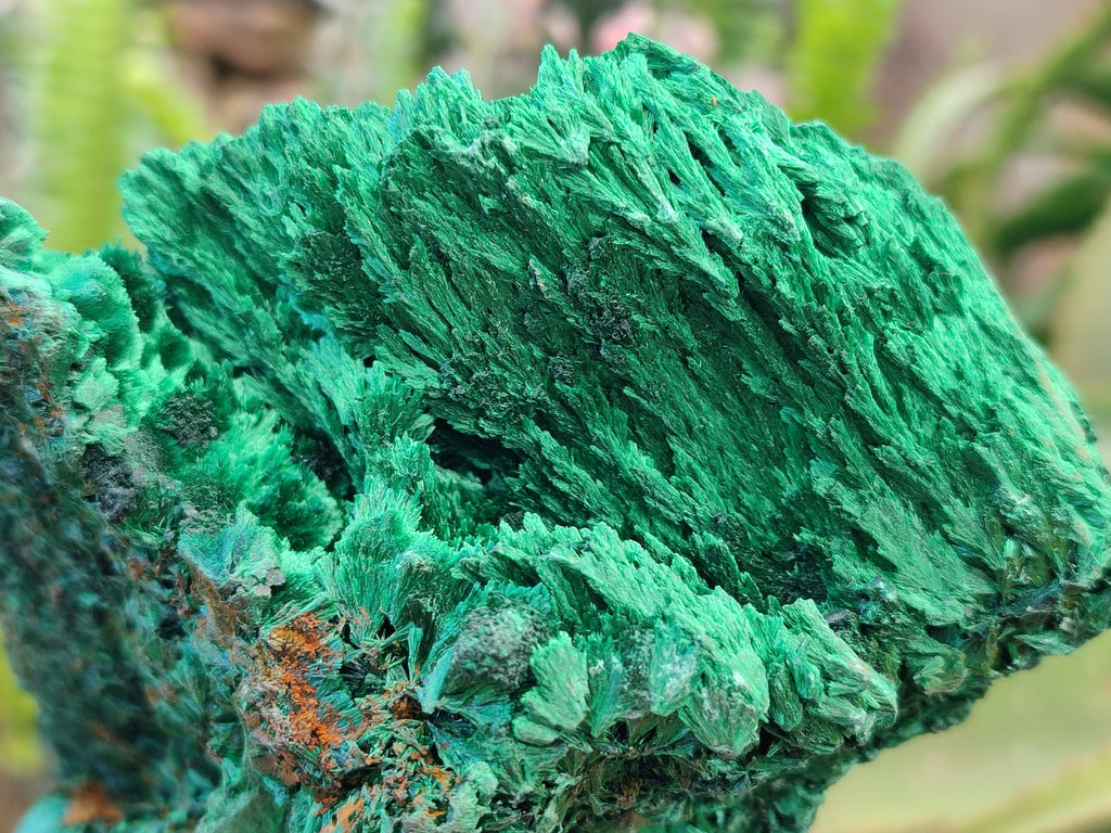 Natural Silky Malachite Specimens x 3 From Kasompe, Congo - Toprock Gemstones and Minerals 