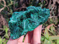 Natural Silky Malachite Specimens x 3 From Kasompe, Congo - Toprock Gemstones and Minerals 