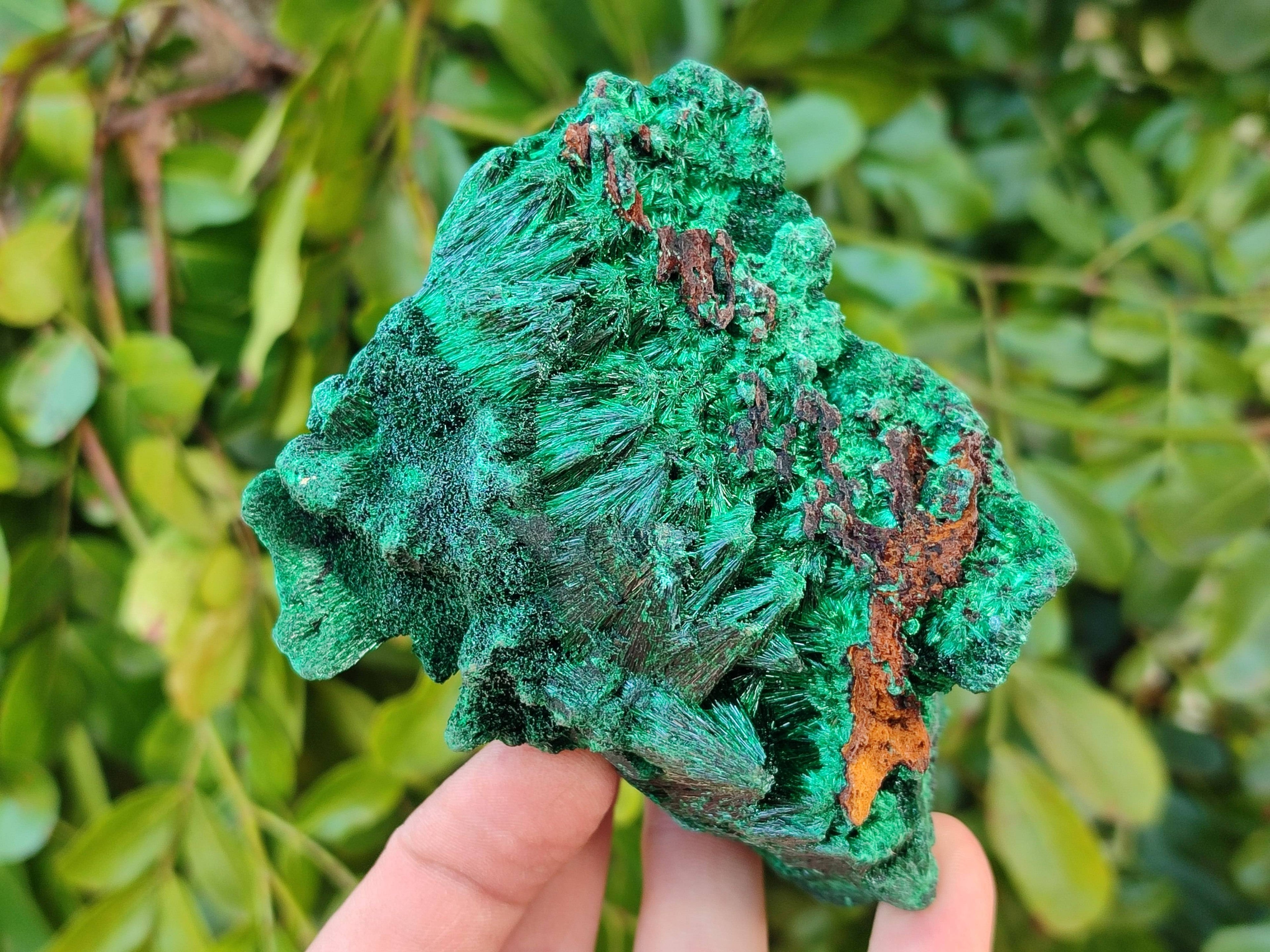Natural Silky Malachite Specimens x 3 From Kasompe, Congo - Toprock Gemstones and Minerals 