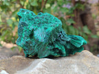 Natural Silky Malachite Specimens x 3 From Kasompe, Congo - Toprock Gemstones and Minerals 