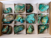 Natural Shattuckite With Chrysocolla Specimens x 12 From Koakoveld, Namibia - Toprock Gemstones and Minerals 