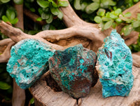 Natural Shattuckite With Chrysocolla Specimens x 12 From Koakoveld, Namibia - Toprock Gemstones and Minerals 
