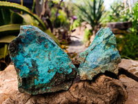 Natural Shattuckite With Chrysocolla Specimens x 12 From Koakoveld, Namibia - Toprock Gemstones and Minerals 