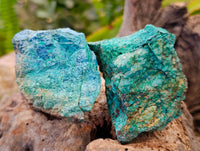 Natural Shattuckite With Chrysocolla Specimens x 12 From Koakoveld, Namibia - Toprock Gemstones and Minerals 