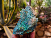 Natural Shattuckite With Chrysocolla Specimens x 12 From Koakoveld, Namibia - Toprock Gemstones and Minerals 