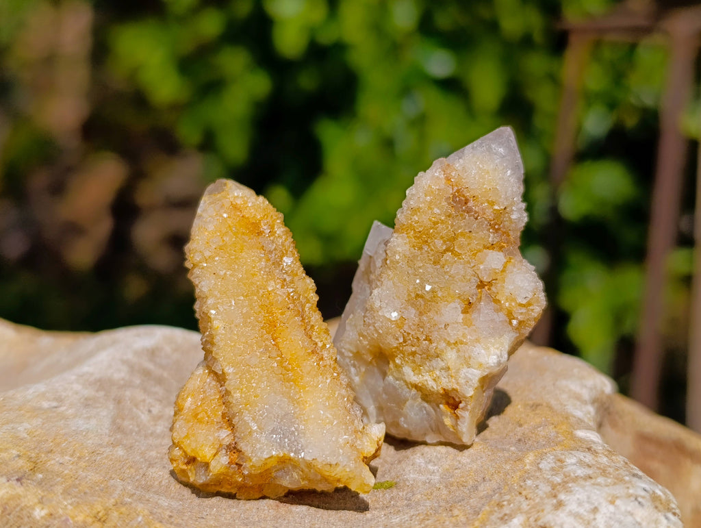 Natural White Spirit Quartz Clusters x 70 From Boekenhouthoek, South Africa - Toprock Gemstones and Minerals 