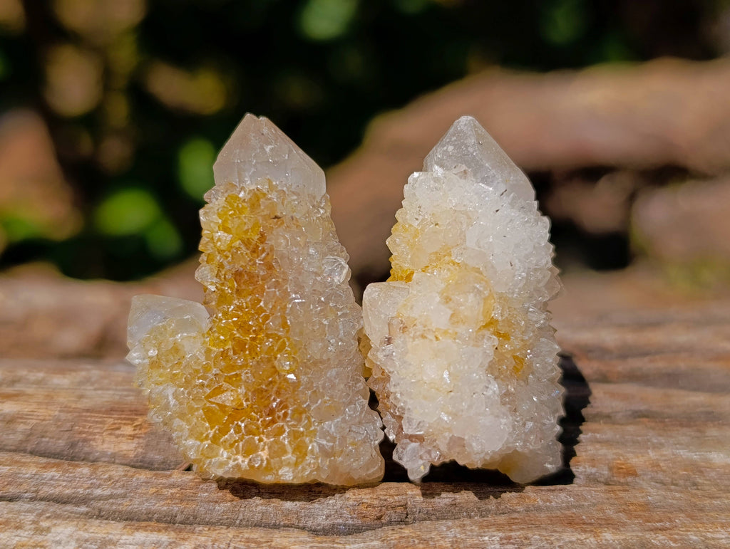 Natural White Spirit Quartz Clusters x 70 From Boekenhouthoek, South Africa - Toprock Gemstones and Minerals 