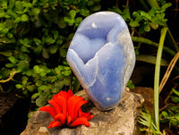 Polished Blue Lace Agate Standing Free Forms x 1 From Nsanje, Malawi - Toprock Gemstones and Minerals 