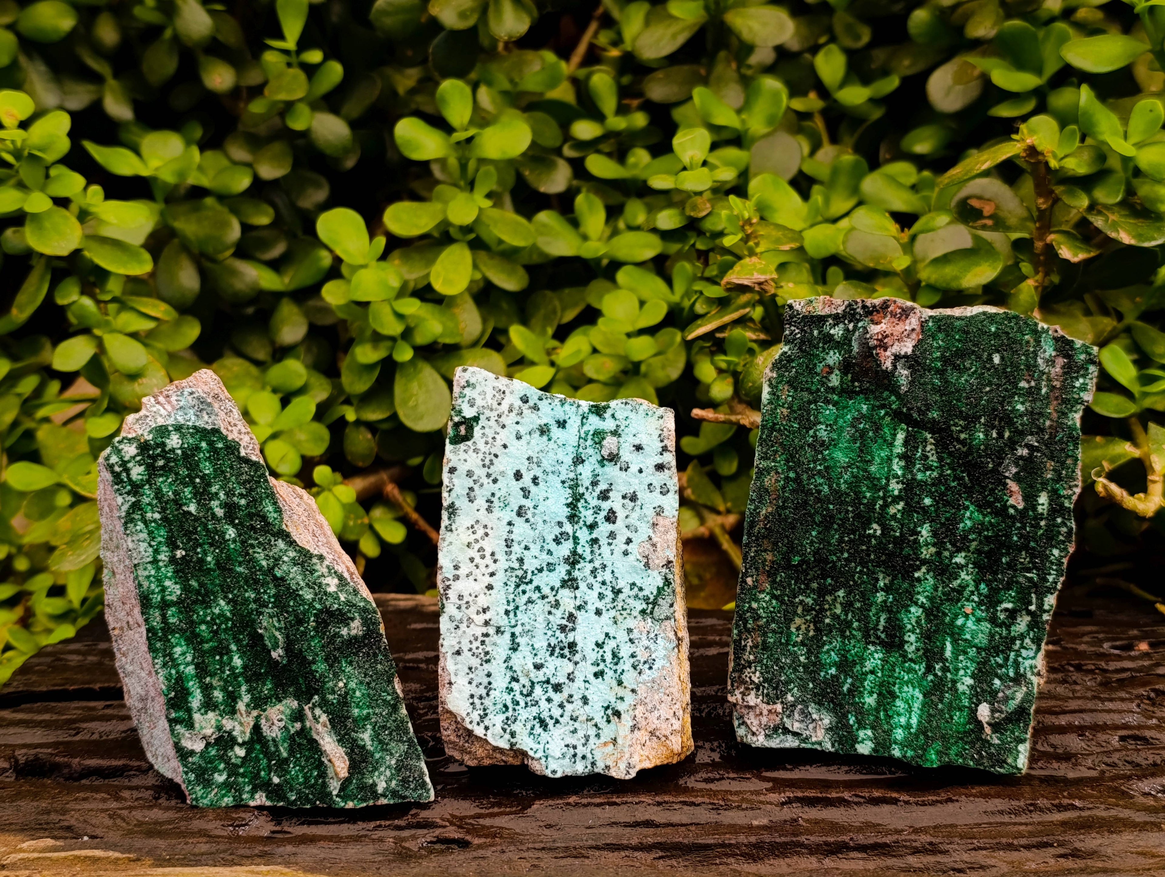 Natural Drusy Coated Chrysocolla with Malachite x 3 From Likasi Mine, Congo - Toprock Gemstones and Minerals 