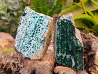 Natural Drusy Coated Chrysocolla with Malachite x 3 From Likasi Mine, Congo - Toprock Gemstones and Minerals 