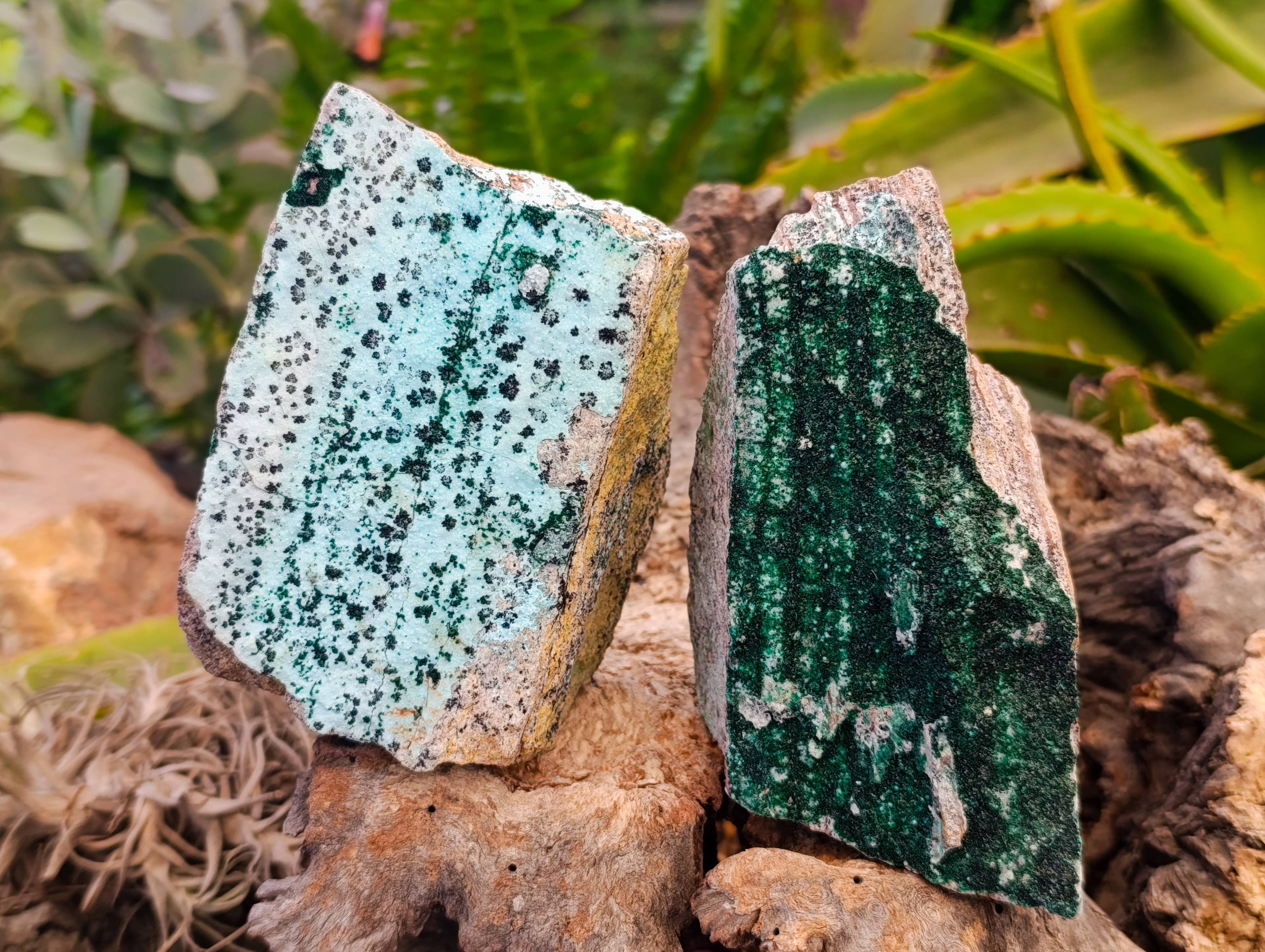 Natural Drusy Coated Chrysocolla with Malachite x 3 From Likasi Mine, Congo - Toprock Gemstones and Minerals 