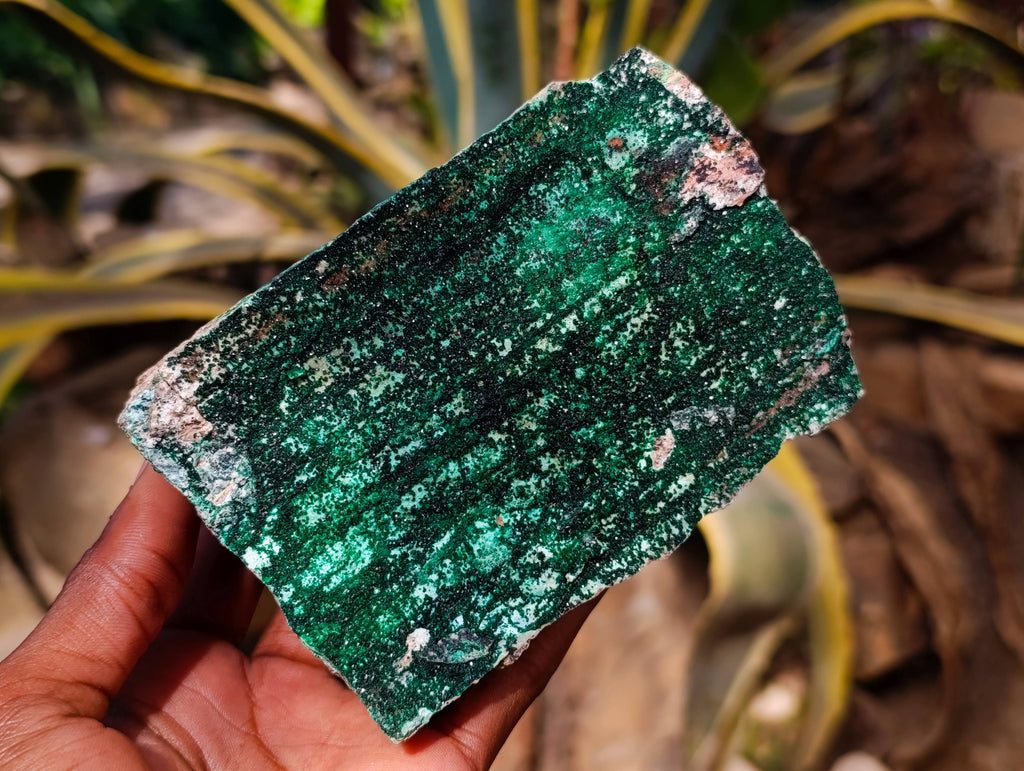 Natural Drusy Coated Chrysocolla with Malachite x 3 From Likasi Mine, Congo - Toprock Gemstones and Minerals 