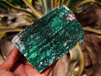 Natural Drusy Coated Chrysocolla with Malachite x 3 From Likasi Mine, Congo - Toprock Gemstones and Minerals 