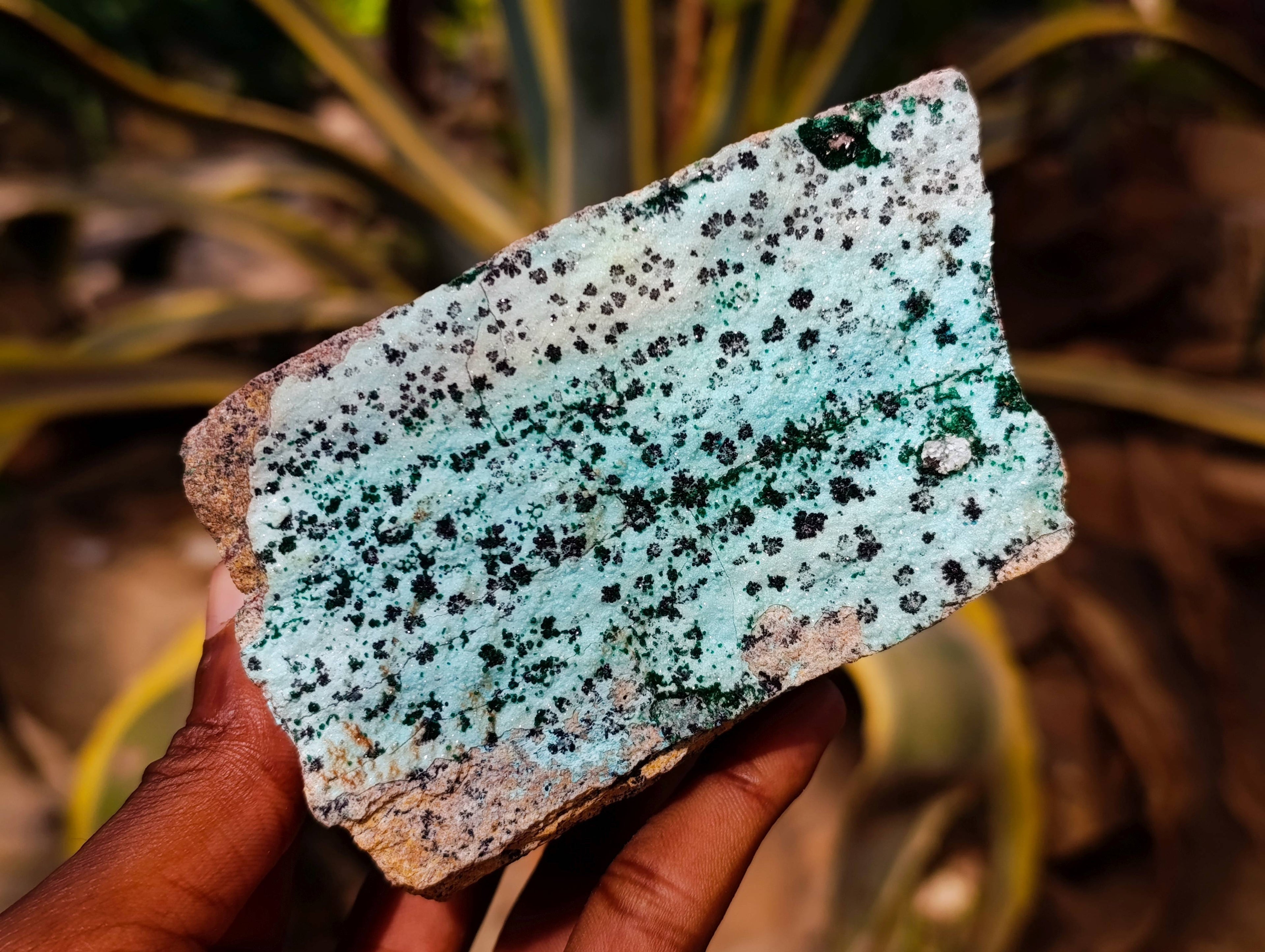 Natural Drusy Coated Chrysocolla with Malachite x 3 From Likasi Mine, Congo - Toprock Gemstones and Minerals 