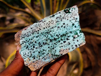 Natural Drusy Coated Chrysocolla with Malachite x 3 From Likasi Mine, Congo - Toprock Gemstones and Minerals 