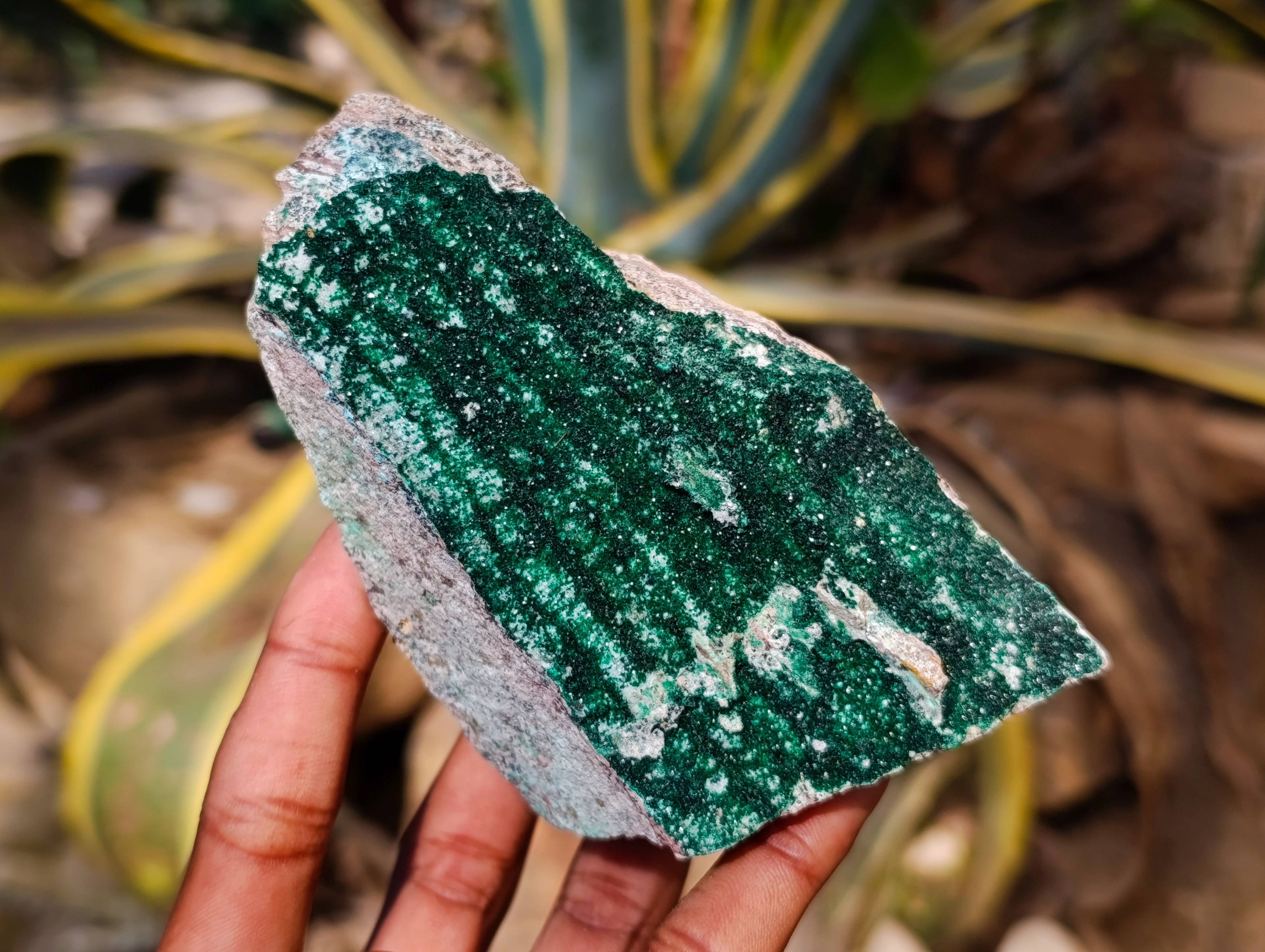 Natural Drusy Coated Chrysocolla with Malachite x 3 From Likasi Mine, Congo - Toprock Gemstones and Minerals 