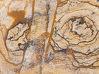 Polished Picture Stone Jasper Points x 3 From Ais-Ais, Namibia - Toprock Gemstones and Minerals 