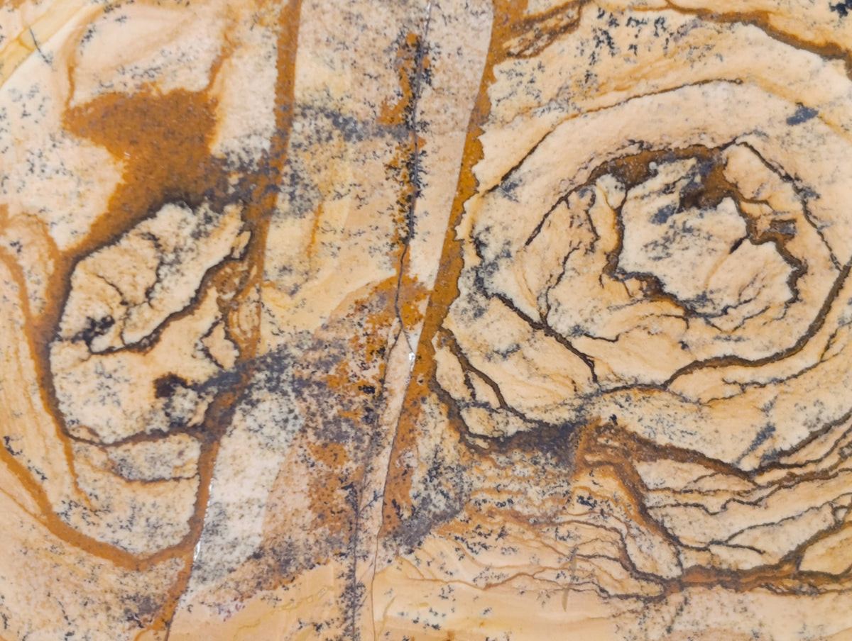 Polished Picture Stone Jasper Points x 3 From Ais-Ais, Namibia - Toprock Gemstones and Minerals 