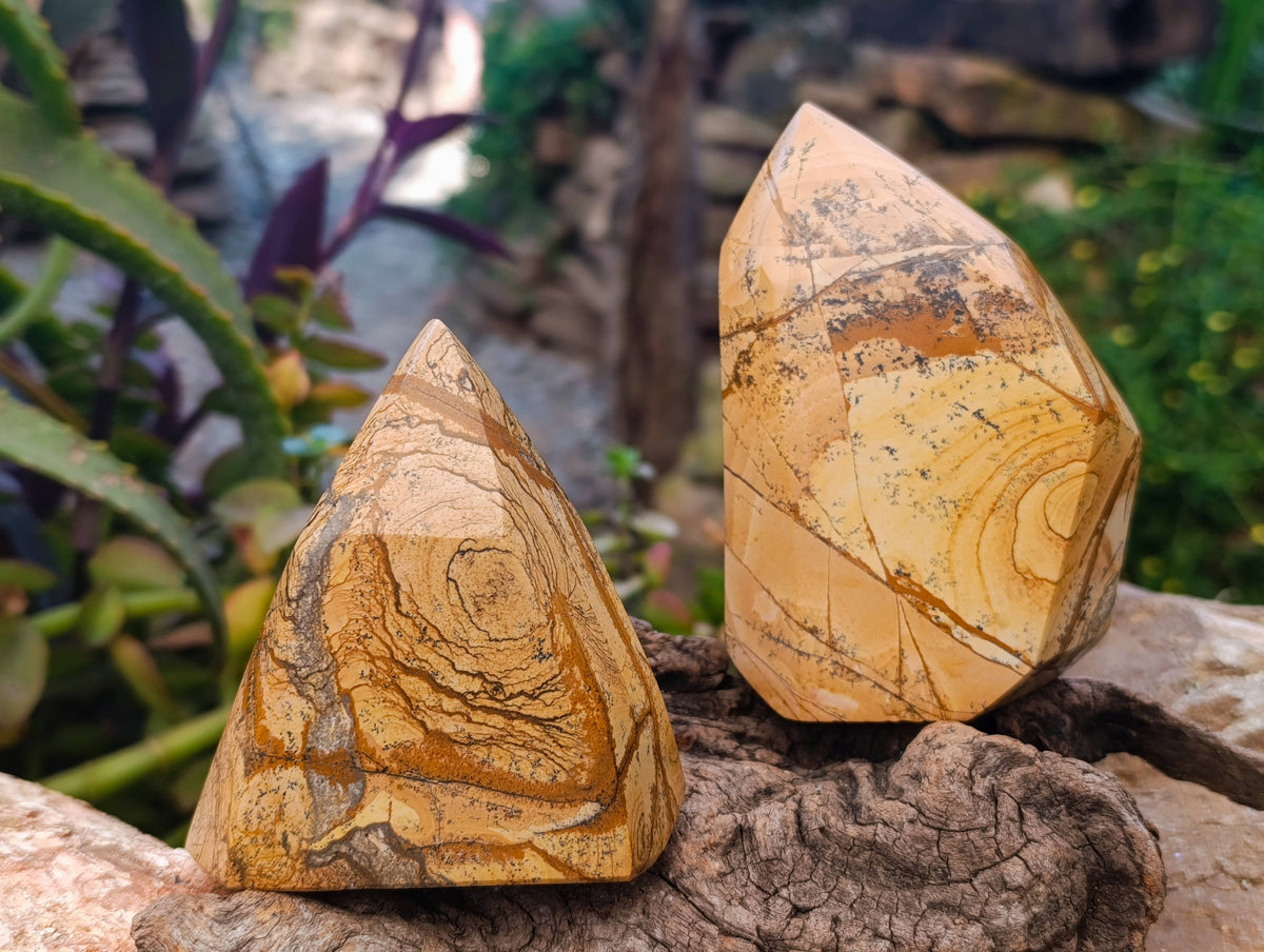 Polished Picture Stone Jasper Points x 3 From Ais-Ais, Namibia - Toprock Gemstones and Minerals 