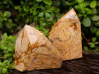 Polished Picture Stone Jasper Points x 3 From Ais-Ais, Namibia - Toprock Gemstones and Minerals 
