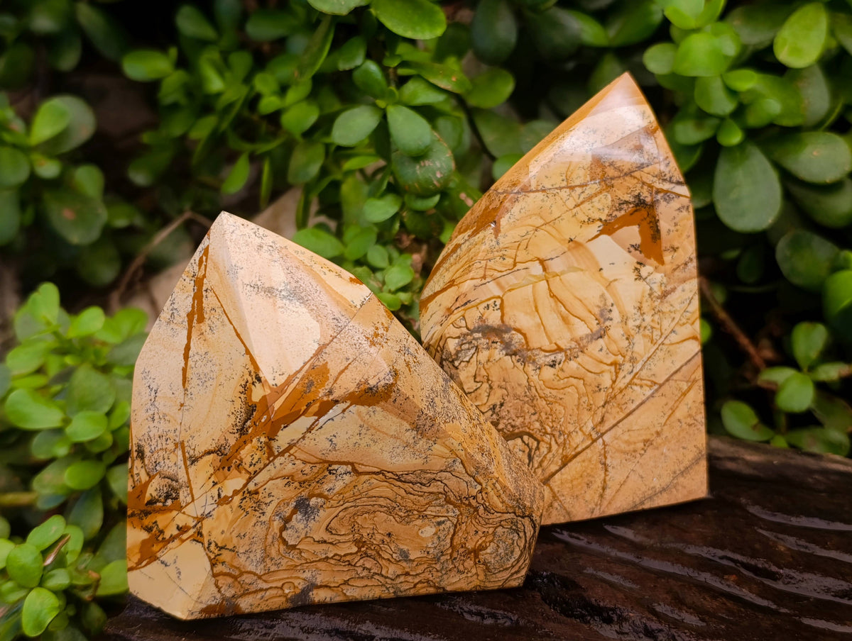 Polished Picture Stone Jasper Points x 3 From Ais-Ais, Namibia - Toprock Gemstones and Minerals 