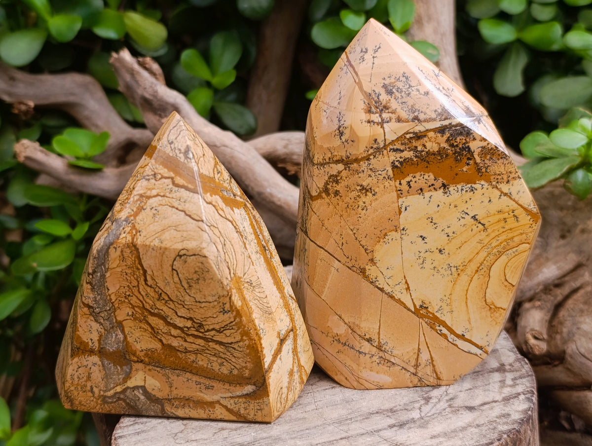 Polished Picture Stone Jasper Points x 3 From Ais-Ais, Namibia - Toprock Gemstones and Minerals 