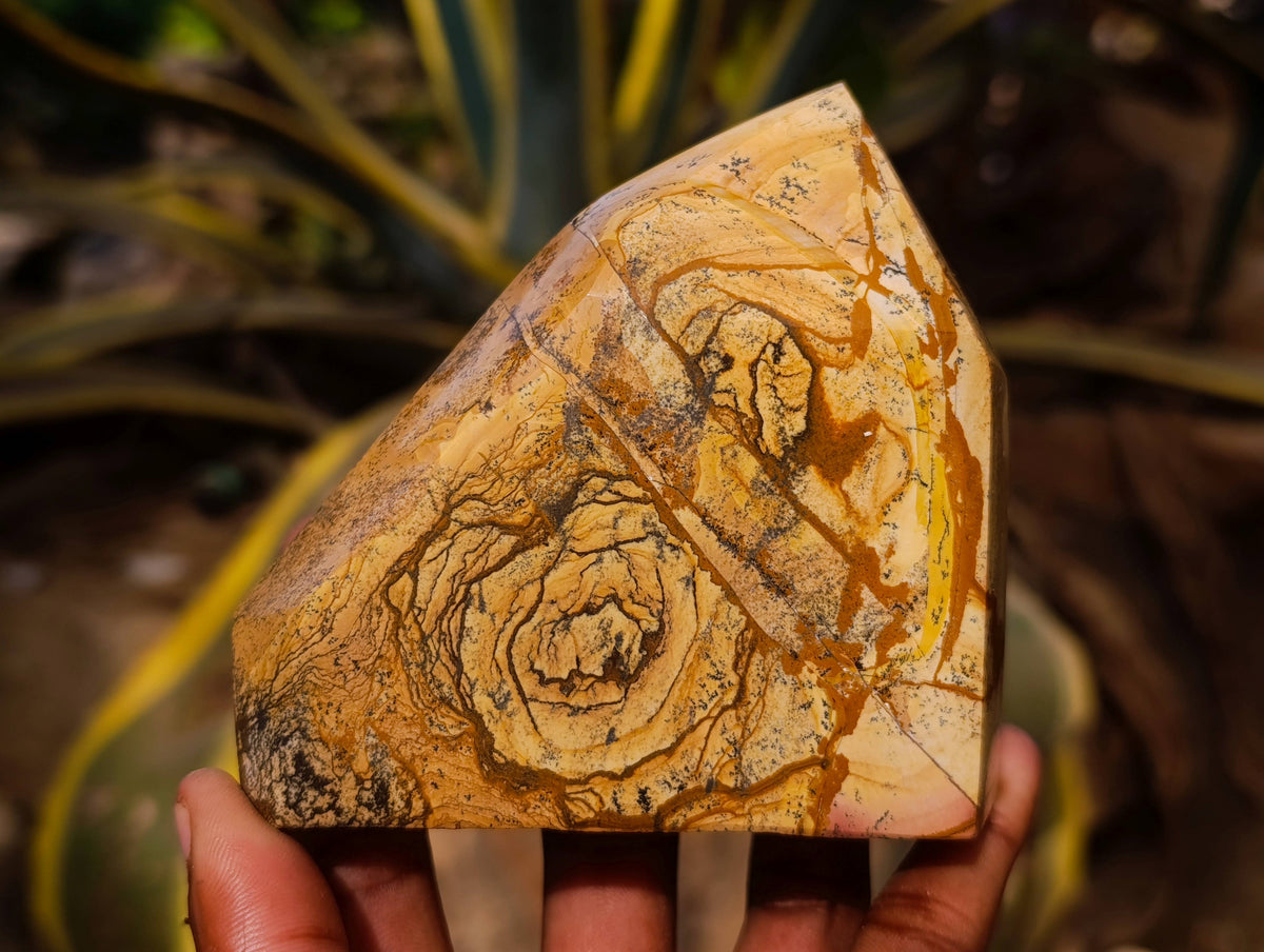 Polished Picture Stone Jasper Points x 3 From Ais-Ais, Namibia - Toprock Gemstones and Minerals 