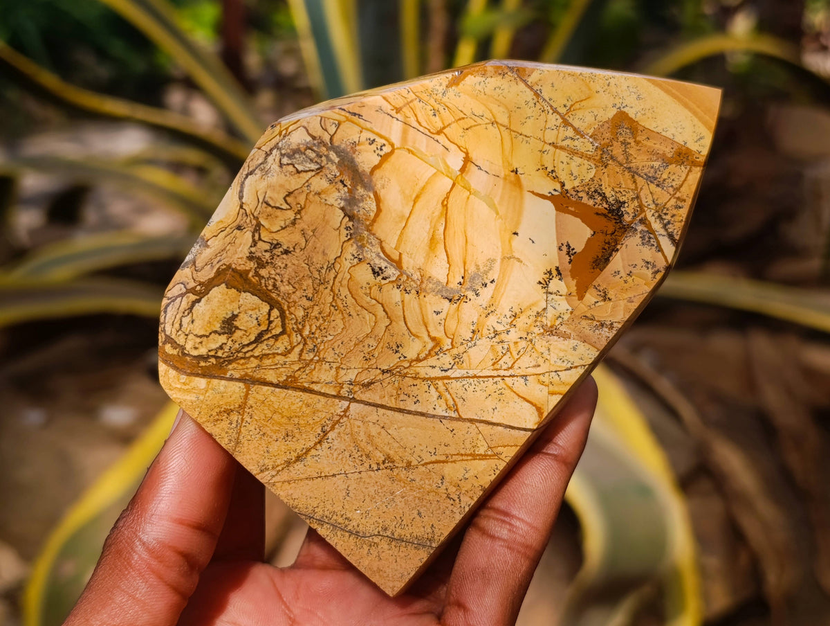Polished Picture Stone Jasper Points x 3 From Ais-Ais, Namibia - Toprock Gemstones and Minerals 