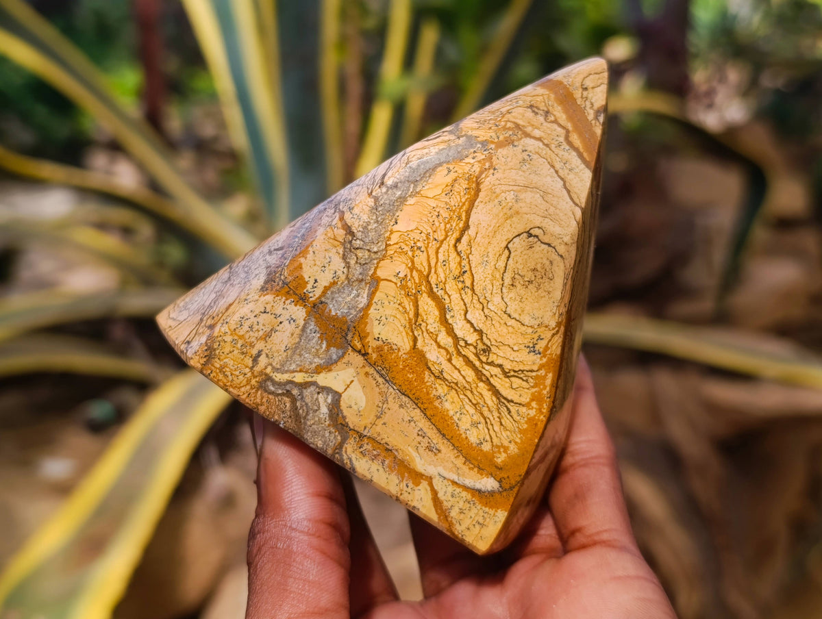 Polished Picture Stone Jasper Points x 3 From Ais-Ais, Namibia - Toprock Gemstones and Minerals 