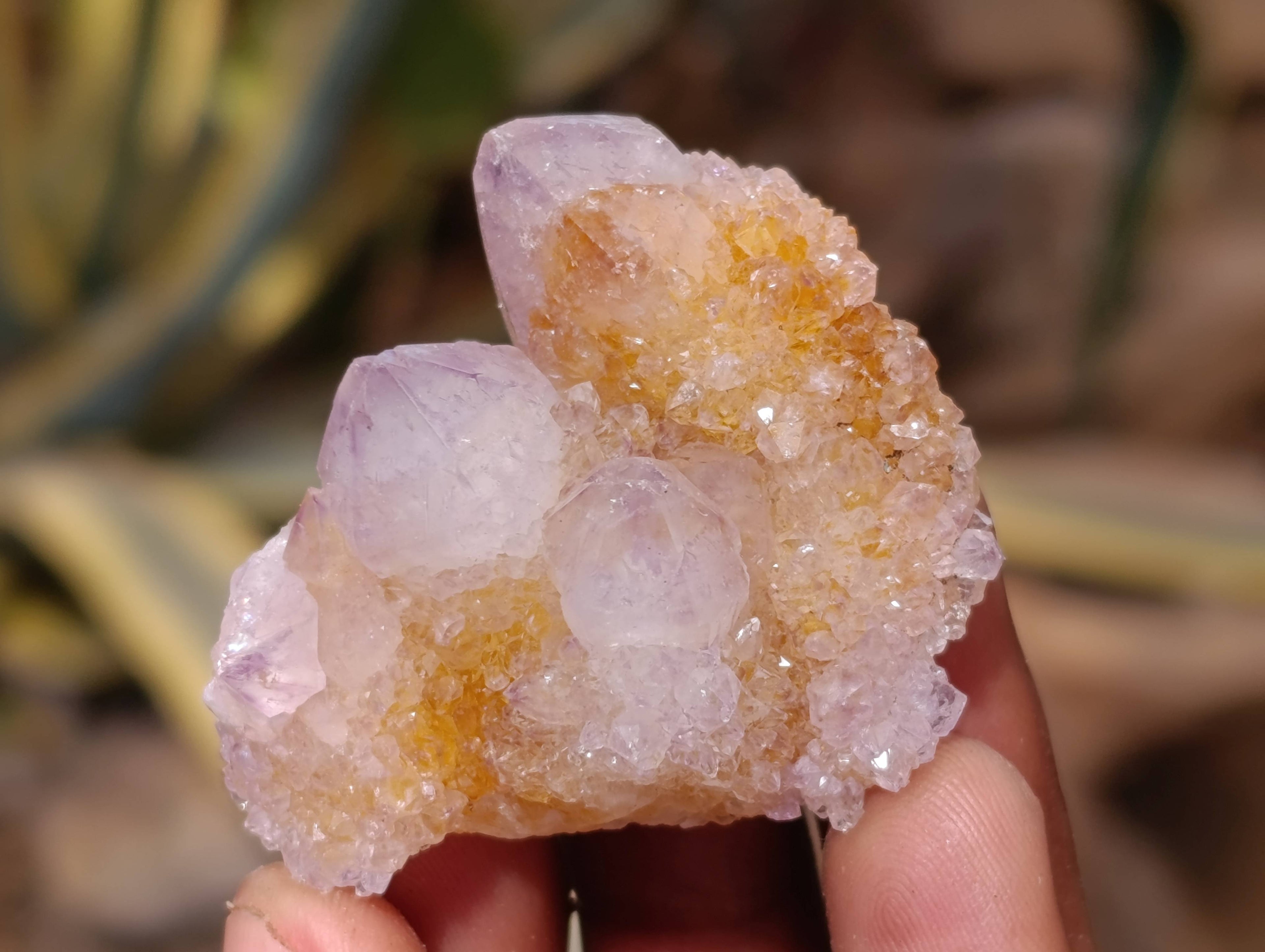 Natural Amethyst Spirit Quartz Crystals x 20 From Boekenhouthoek, South Africa - Toprock Gemstones and Minerals 